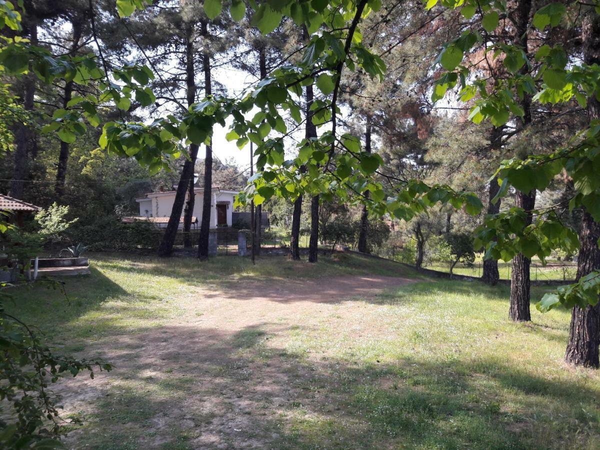Villa Leo Glykadi Экстерьер фото